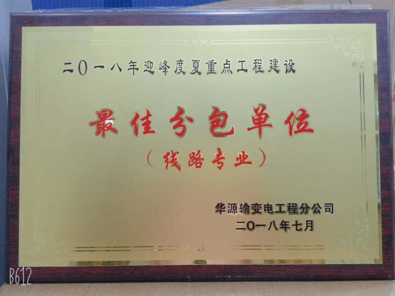 2018年迎峰度夏重點工程建設(shè)最佳分包單位.jpg